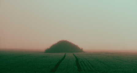 Sunny misty day on the  agriculture field with a tractor way on pile in the middle. natural background