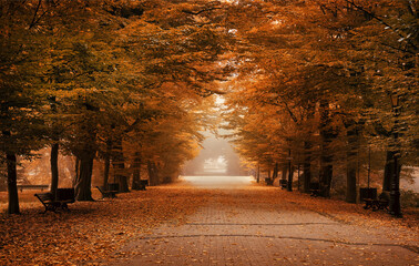 Otoño © Iwona