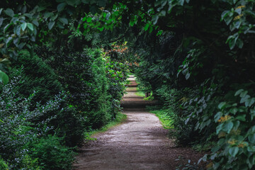 Walkway in Arboretum of the Warsaw University of Life Sciences, Rogow village in Poland