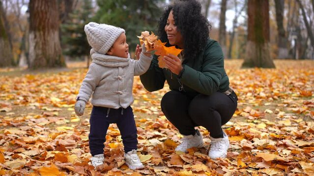 Wide shot portrait of cute little son playing yellow fallen leaves with smiling young mother outdoors. African American boy and woman enjoying leisure together in autumn park on cloudy day