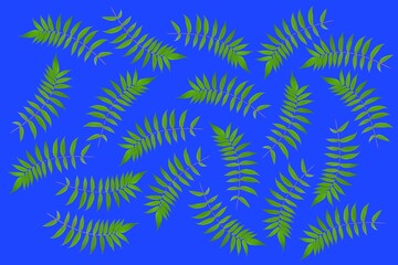 branch with leaves on a blue background. vegetation and botany