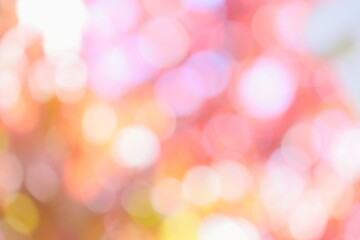 ハナミズキの紅葉のアウトフォーカス