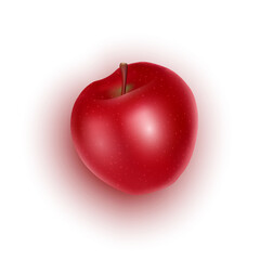 Realistic red apple on white background, Ripe apple in vector format