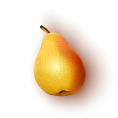 Realistic ripe pear on a white background. Vector illustration