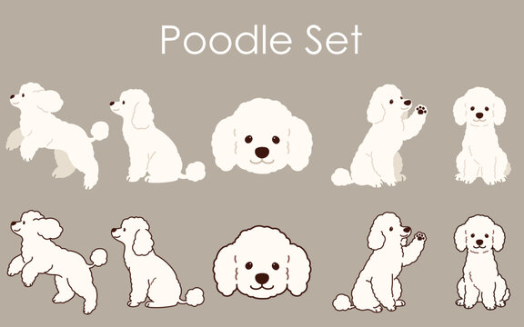 Simple and adorable Poodle set illustrations