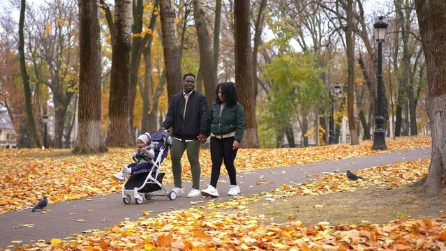 Wide shot loving man and woman holding hands talking walking in autumn park with little boy in baby stroller. Live camera follows confident African American young family strolling outdoors