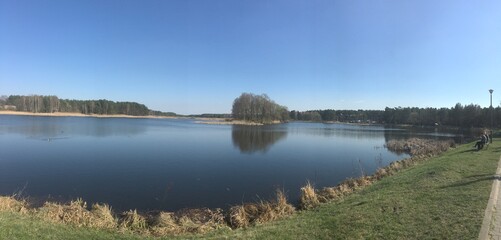 reflection of trees