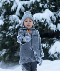 A little boy in a gray coat and a knitted hat holds a cockerel lollipop in his hand