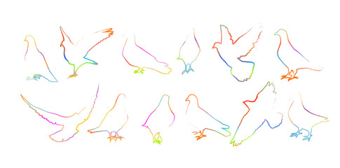 Set Objects doves colored brush line. Vector illustration