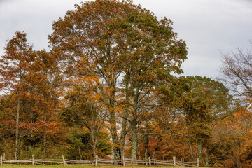 Blue Ridge Parkway in Virginia Autumn Landscape view.