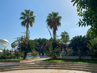 Fototapeta premium Beautiful plants and palm trees, landscaping in a hotel on vacation in a warm tropical eastern paradise country southern resort