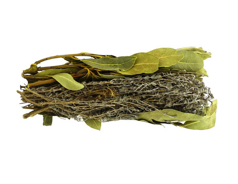 Bouquet garni s&eacute;ch&eacute; de thym et laurier isol&eacute; sur fond blanc