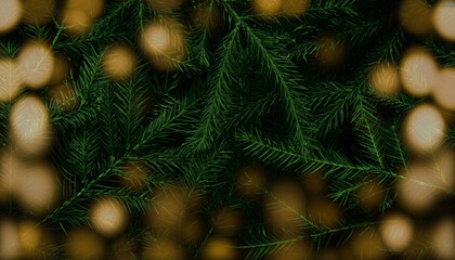 Christmas tree branches. Green natural background. Christmas background. Nature New Year concept.