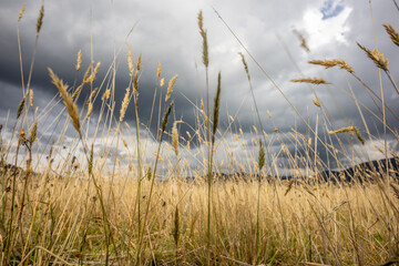 The Neusa reservoir is a source of supply for human consumption in the Cogua and Zipaquirá aqueducts.