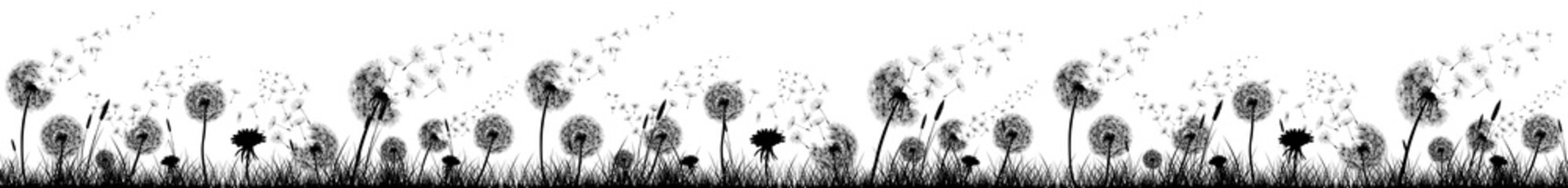 Dandelions, Flowers and Grass High Quality Kitchen Design - Silhouette / Shapes - Black and White Background - obrazy, fototapety, plakaty