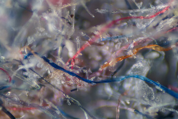 The Microscopic World. Ordinary house dust under the microscope.