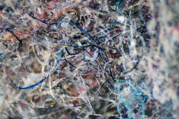 The Microscopic World. Ordinary house dust under the microscope.