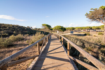 One of the most beautiful beaches in Spain, called (Cuesta Maneli, Huelva) in Spain.  Surrounded by dunes, vegetation and cliffs.  A gorgeous beach.