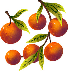 New Year's set of illustrations tangerines on a branch and one tangerine separately bright colorful