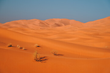 Fototapeta na wymiar merzouga desert sahara sand dunes in morocco