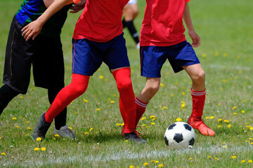 Obraz premium サッカー