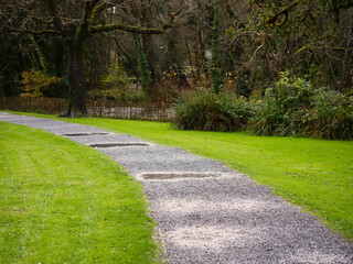 Walking footpath with puddles after rain in a park with rich green grass and trees. Fall autumn season concept.