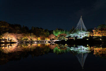 Fototapeta premium marina at night