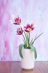 Fototapeta na wymiar Delicate pink tulips in a vase, spring still life, minimalist, floral background