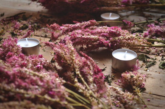 Dead Celosia Flowers with Candles on a Rustic Wood Background | Romantic Dead Flowers | Candles with Flowers
