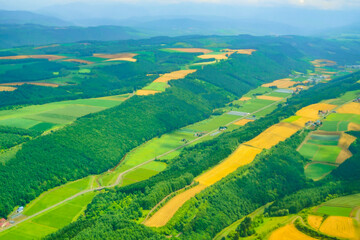 北海道旭川の大地