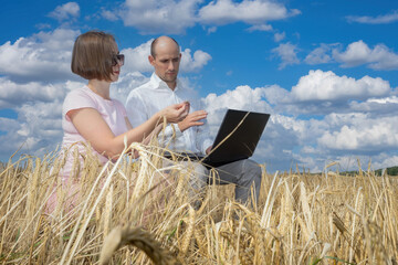 Naklejka na ściany i meble Agronomists at work. Man and woman in field with grain. Two specialists of agricultural business. Agricultural company managers with laptop. Guy and girl are sitting in field with grain on summer day