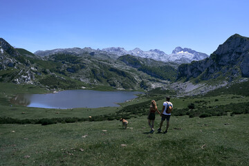 Fototapeta na wymiar young latin man and caucasian woman holding hands with a large dog walking leisurely through the grass towards the lake, covadonga asturias, spain