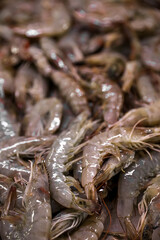 Many fresh raw shrimp as background, closeup