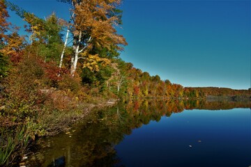 The beautiful landscapes of Muskoka, Ontario, Canada during Fall season, full of colorful autumn colors all over the place