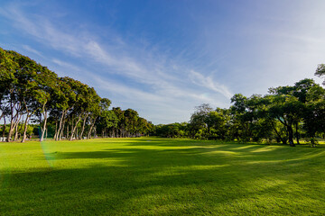 Fototapeta na wymiar Green beautiful park and blue sky in morning.