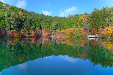 Fototapeta na wymiar 秋の美しい紅葉と湖の写真　南伊奈ヶ湖
