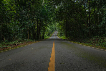 Rural Country Road on the Mountain of Rainy Season Forest Natural in Thailand.