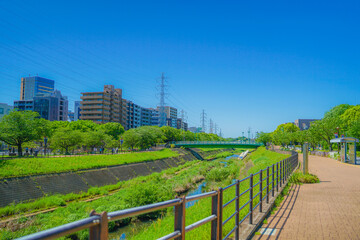 Fototapeta na wymiar 新横浜の風景（新横浜公園）