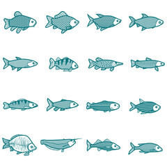 Fish - modern line design style icons set on white background. A collection of animals. Trout, salmon, anchovy, tuna, cod, bream, herring, eel, pike perch, carp, mackerel species images