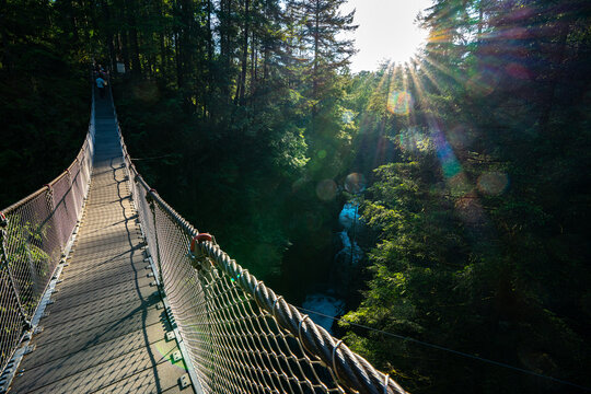Lynn Canyon suspension bridge and forest with sun rays. 
