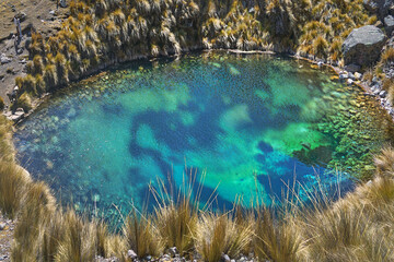 Laguna turquesa paradisiaca en medio de vegetación en los andes peruanos 