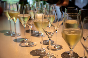 Tasting of brut and reserve champagne sparkling wine produced by traditional method in underground caves in Champagne, France