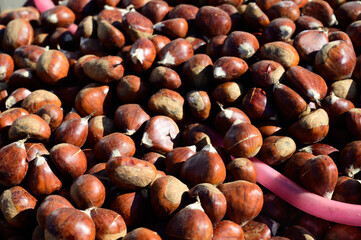 Roasting chestnuts on fire, Portuguese street food in autumn, Lisbon, Portugal