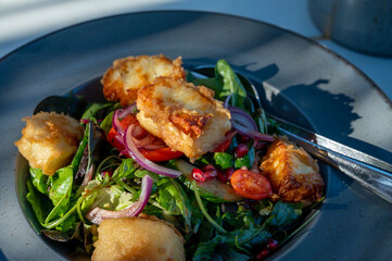 Healthy vegetarian Mediterranean food, Grilled Halloumi cheese Salad with green lettuce, onion and cucumber