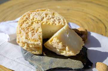 Tasting of local portuguese matured cheese queijo serpa,  Setubal area, Portugal