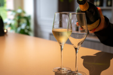 Tasting of brut and reserve champagne sparkling wine produced by traditional method in underground caves in Champagne, France