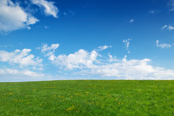 a wide meadow and sky
