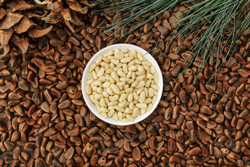 white, barked pine nuts