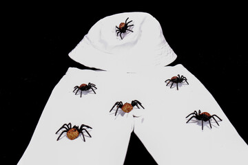 Tiny Fake Spiders On Hat And Pants