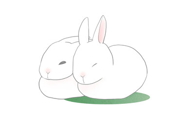 ウサギ　香箱座り